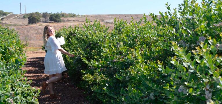 The author Jess looking at the plants in Temecula Berry Co.