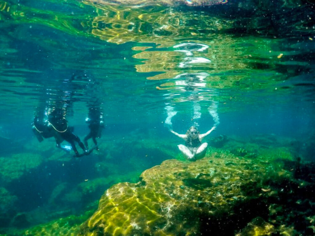 Author Taylor enjoying a swim in the water at a cenote