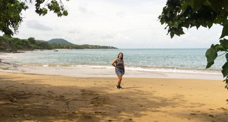 15 Best Vieques Beaches (By a Puerto Rico Local)