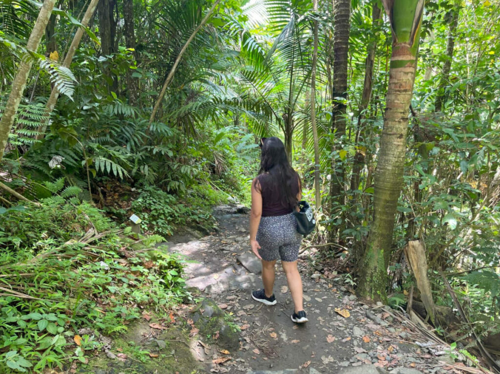 Author Vanessa hiking in El Yunque