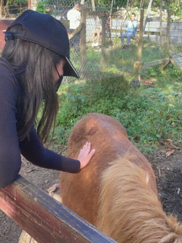 Author Vanessa petting an animal at Girasolero