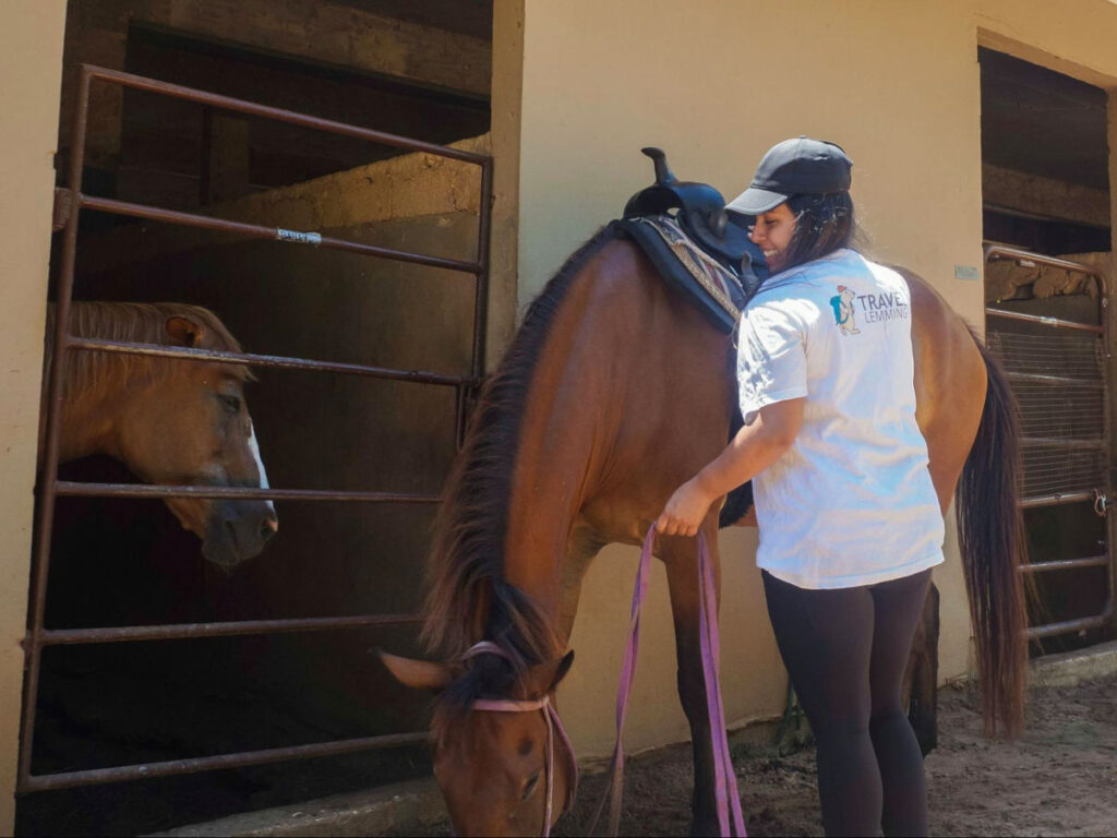 Author Vanessa caring for the horses in the stables