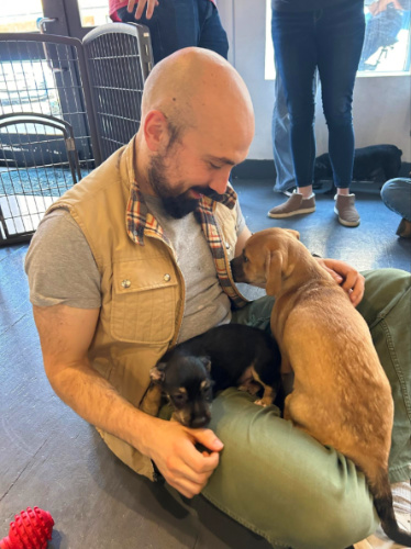 Author's husband playing with puppies in Bellingham