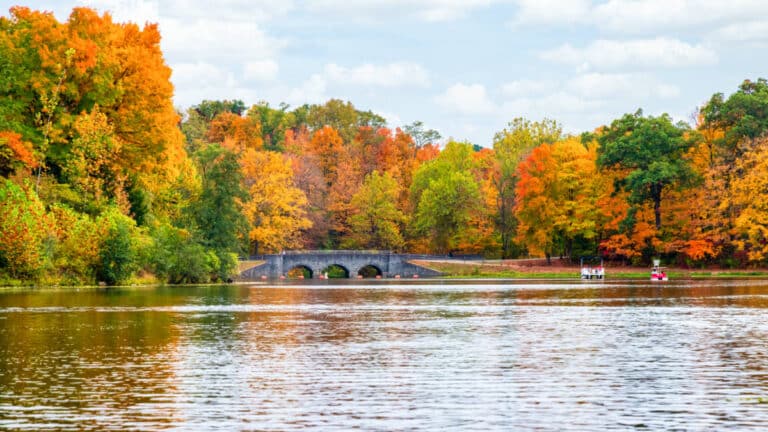 View of the fall foliage and bridge in Sharon Woods Park from the stream, one of the best parks in Cincinnati