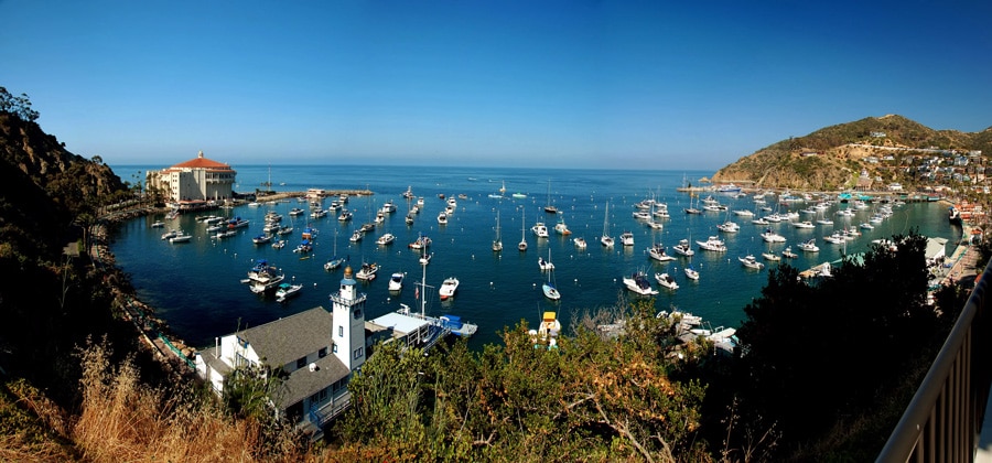 Panoramic view of the Avalon Bay in Santa Catalina Island