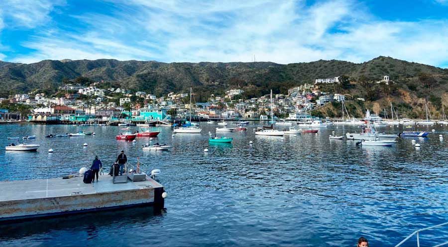 View of boats and houses in Avalon from Catalina Express dock