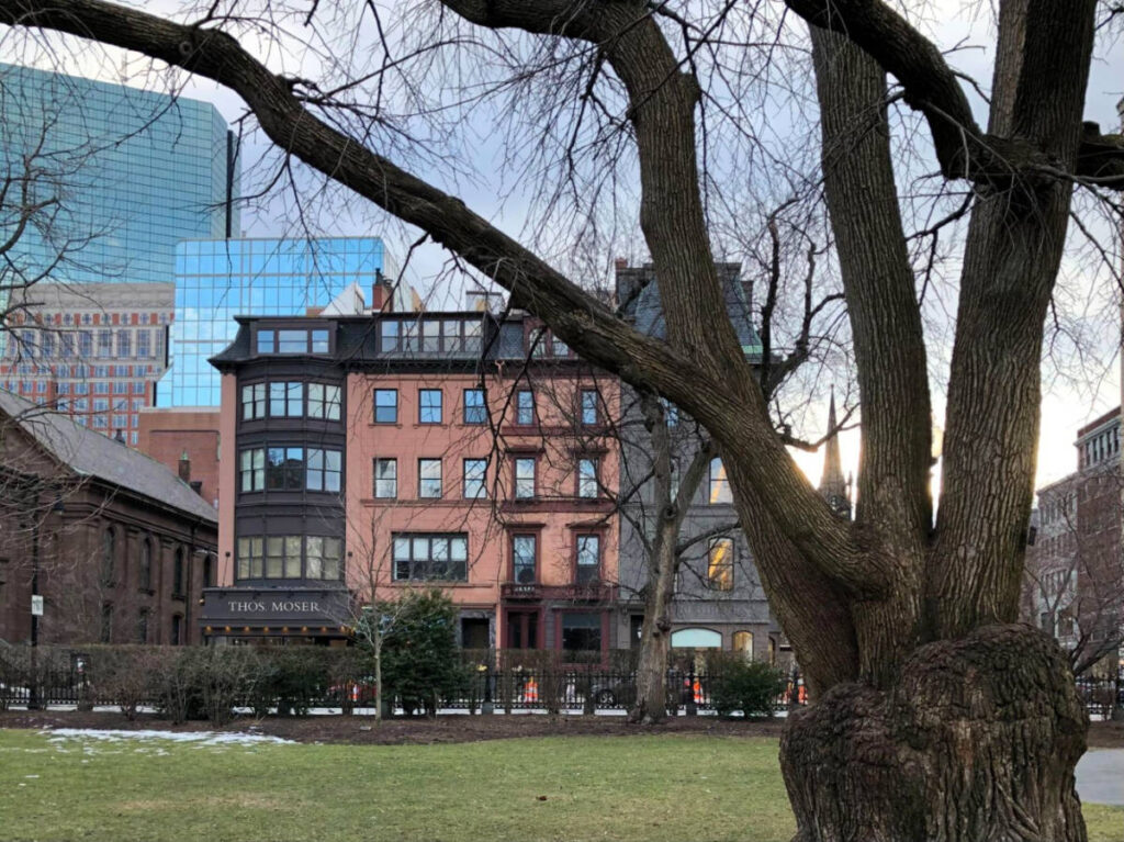 Views of Back Bay from the Public Garden
