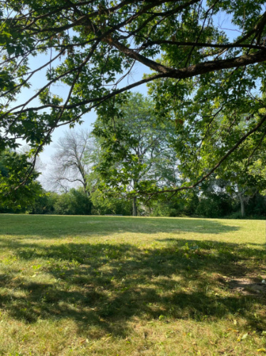 Green grass field and trees at Back Bay Park on Milwaukee’s East Side in summer