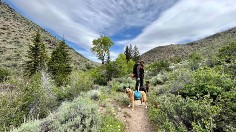 The author's husband with their dogs during their backpacking trip