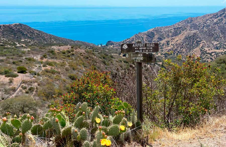 Scenic view while backpacking in Catalina Island
