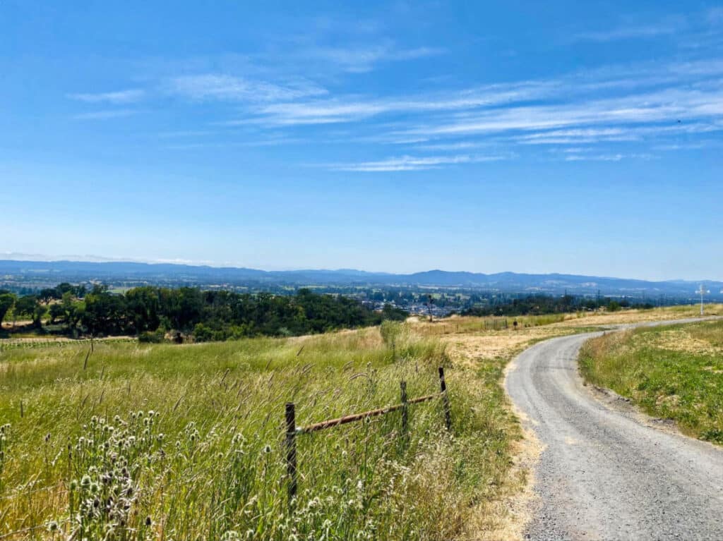 View of the backroad with a scenic overlooking view in Sonoma Valley