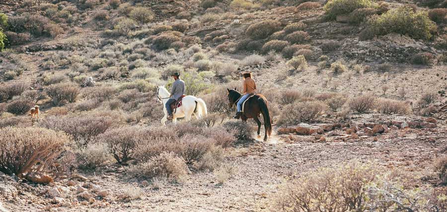 Overlooking view of people horseback riding in Baldwin Lake Stables
