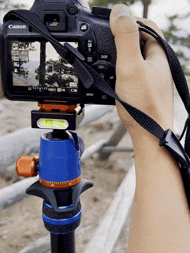 A mounted DSLR on a ball head transition from landscape to portrait using the 3 Legged Thing Punks Corey 2.0