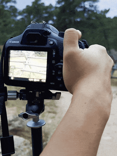 A mounted DSLR on a ball head transition from landscape to portrait using the Benro Tablepod Flex Tripod