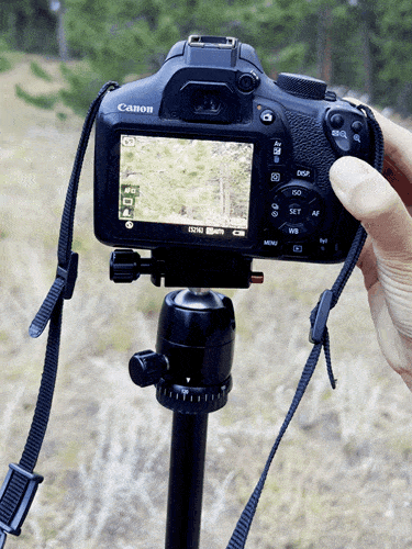 A mounted DSLR on a ball head transition from landscape to portrait using the SIRUI T-005X Tripod