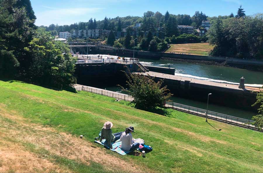 Two people relaxing on the grass field with a view of Ballard Locks