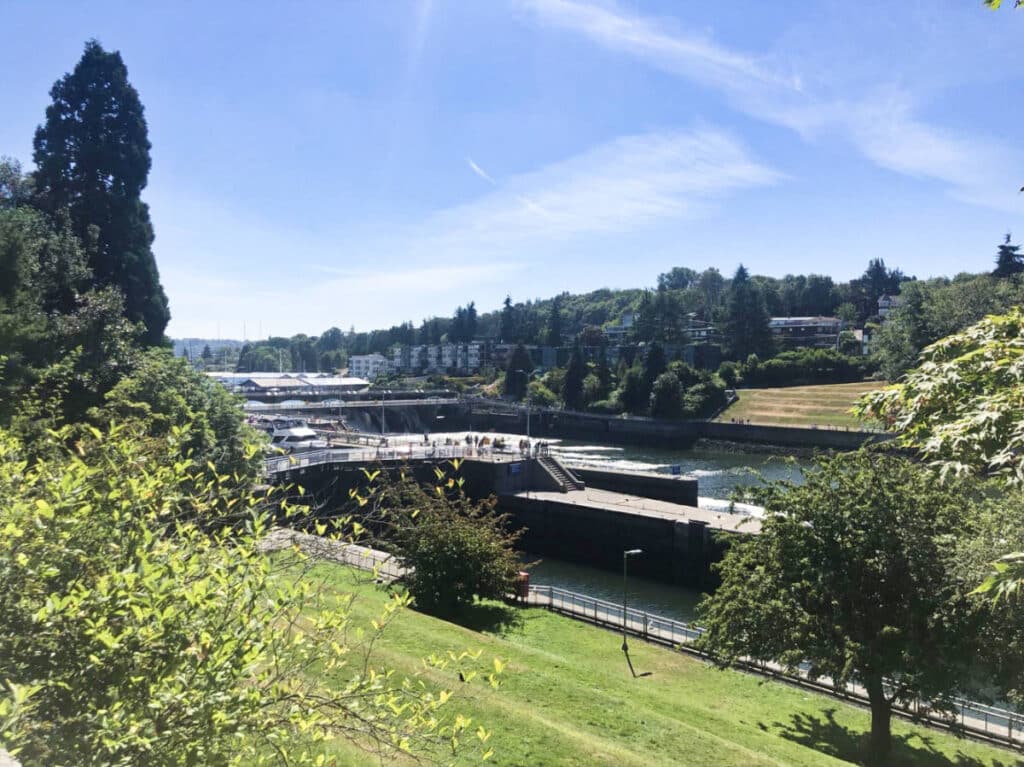 Overlooking view of the Ballard Locks from the garden on a sunny day