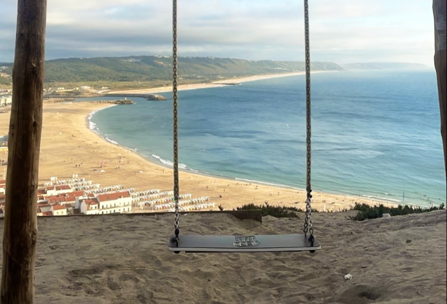 A swing with the ocean and mountain in the background