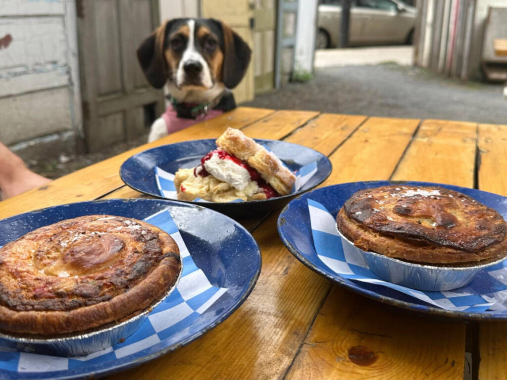 View of Bang Bang Pie on a table and the author's dog staring at it