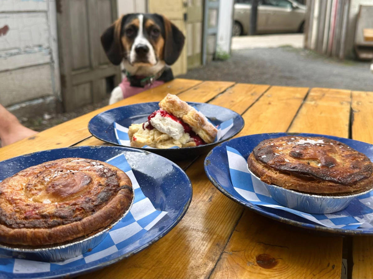 View of Bang Bang Pie on a table and the author's dog staring at it
