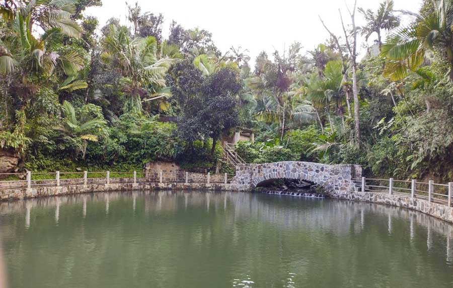 The Baño Grande in El Yunque