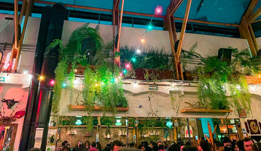View of people on a nightlife in a bar in Mexico City