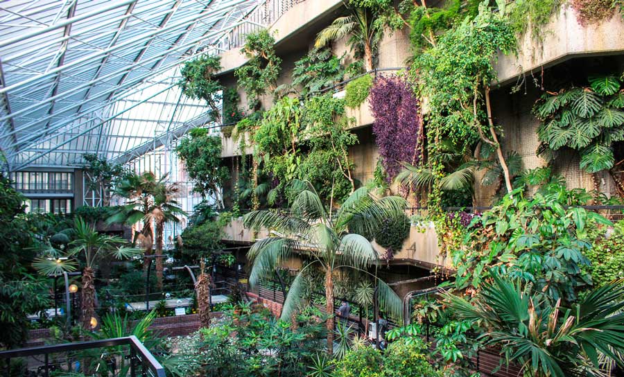 View from the inside of Barbican Conservatory