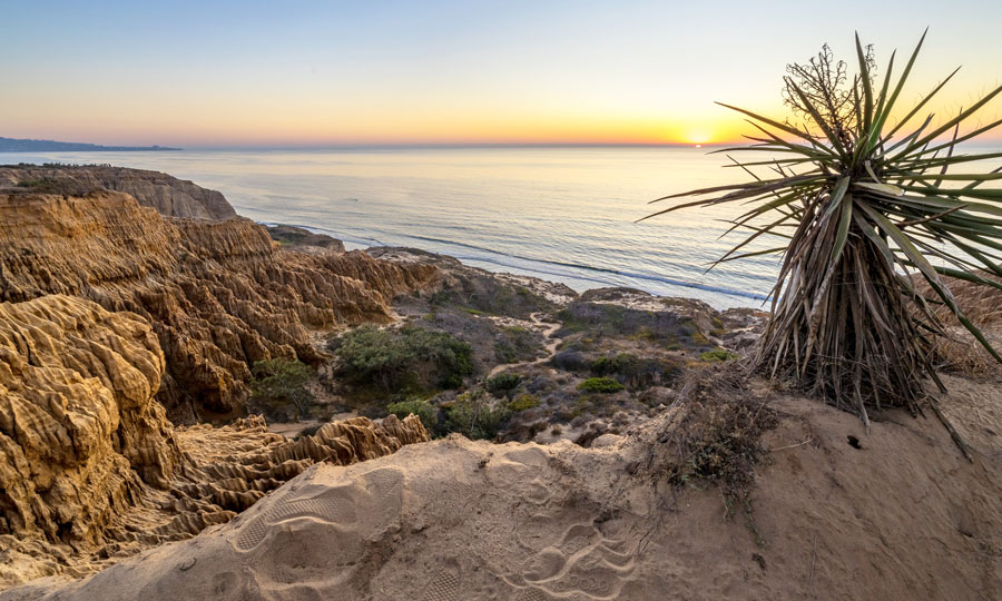 View of the sunset in Torrey Pines