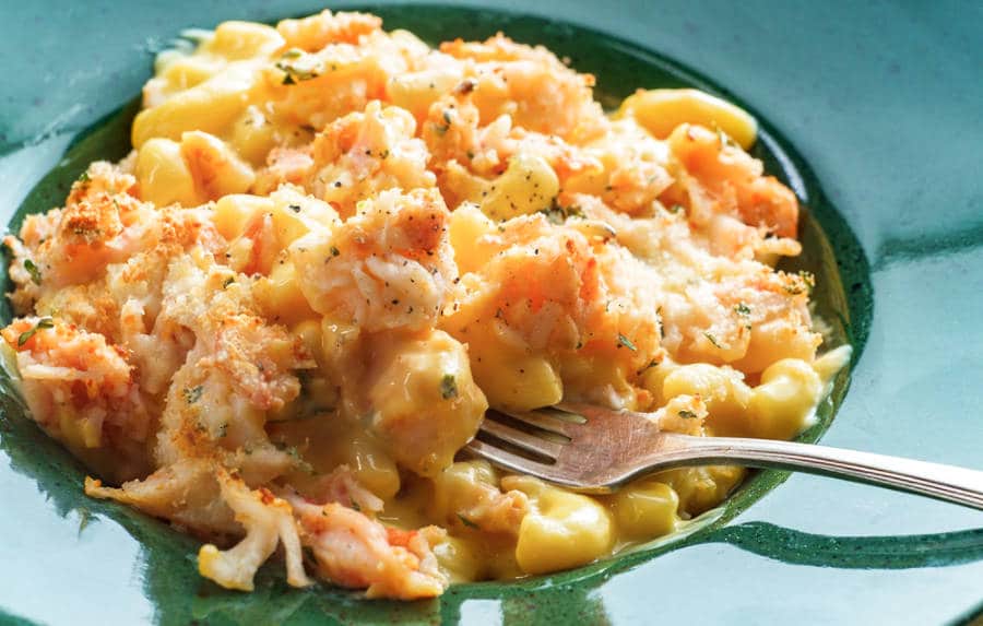 Delicious baked macaroni with breaded lobster and cheddar cheese served on a glamorous plate.