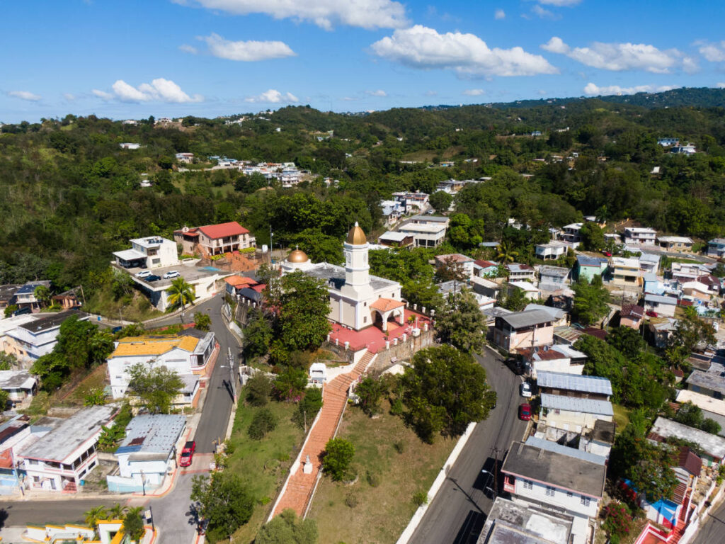 Aerial view of the Basílica Menor and other establishment surrounded by greenery