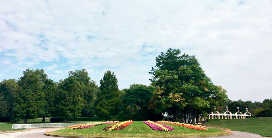 Colorful flowers in Battersea park