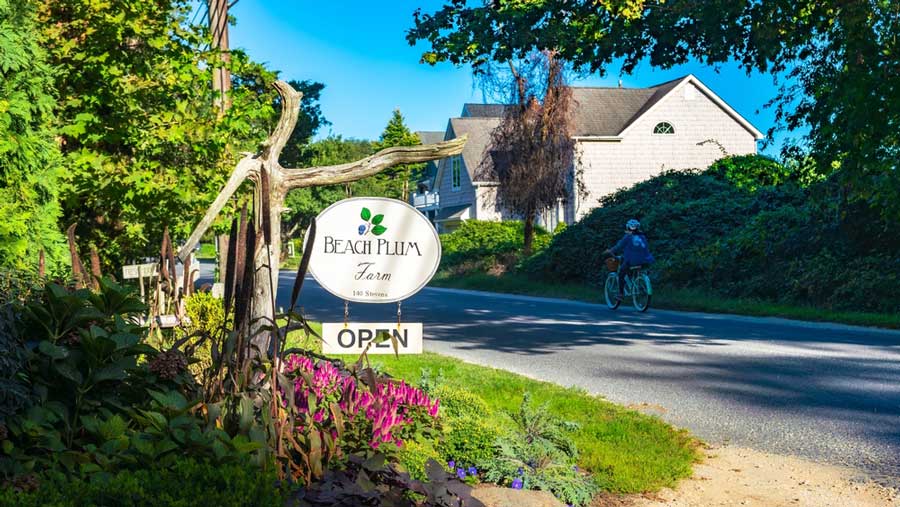 The Beach Plum Farm signage on the entrance