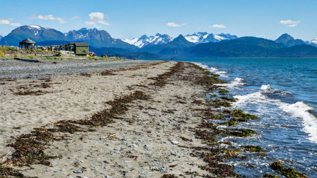 View of the beach and mountains in Homer on a sunny day