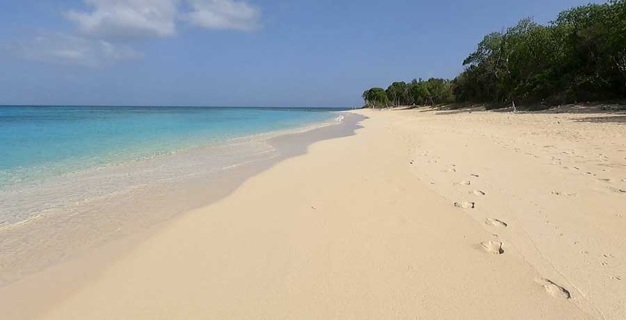 Footprints on the sand on a beach in Buck Island
