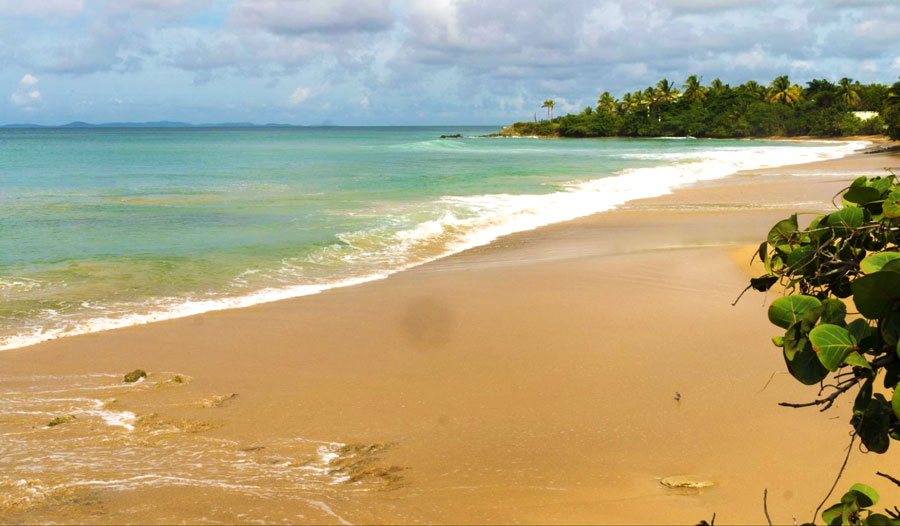 View of an empty beach in Vieques