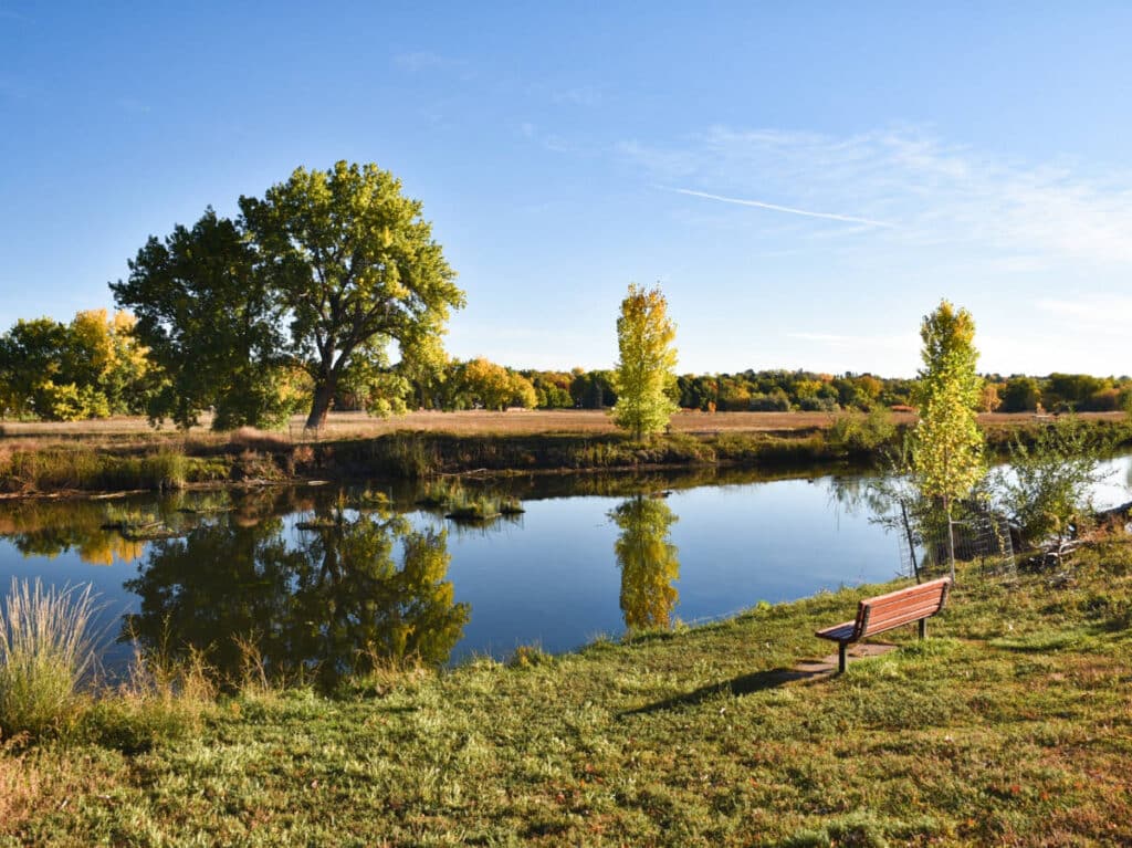 View of the lake surrounded by greenery at Bear Creek Greenbelt Park