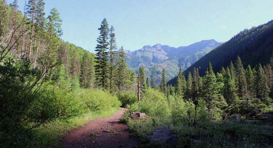 View at the Bear Creek Trail under the clear blue sky