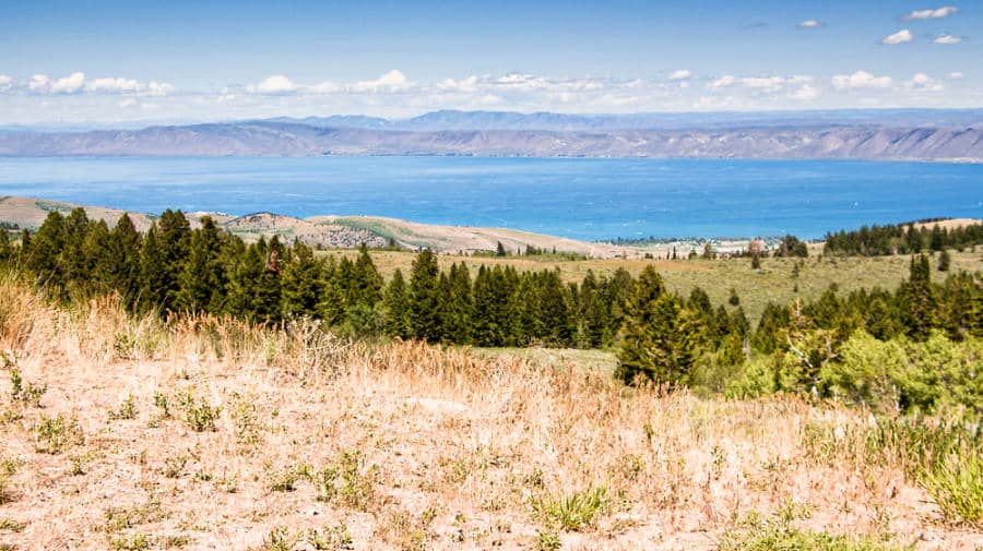 View of the greenery on the landscape of Bear Lake State Park