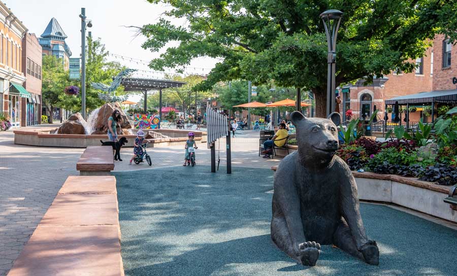 A sitting bear statue in Fort Collins