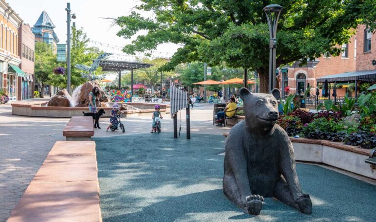 A bear statue sitting in Fort Collins