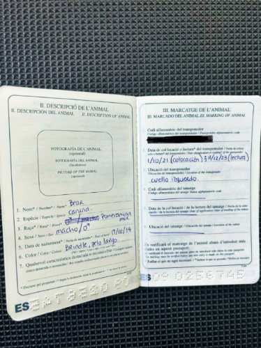 View inside the dog EU passport from Spain