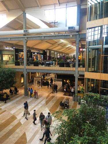 View of people inside the Bellevue Square