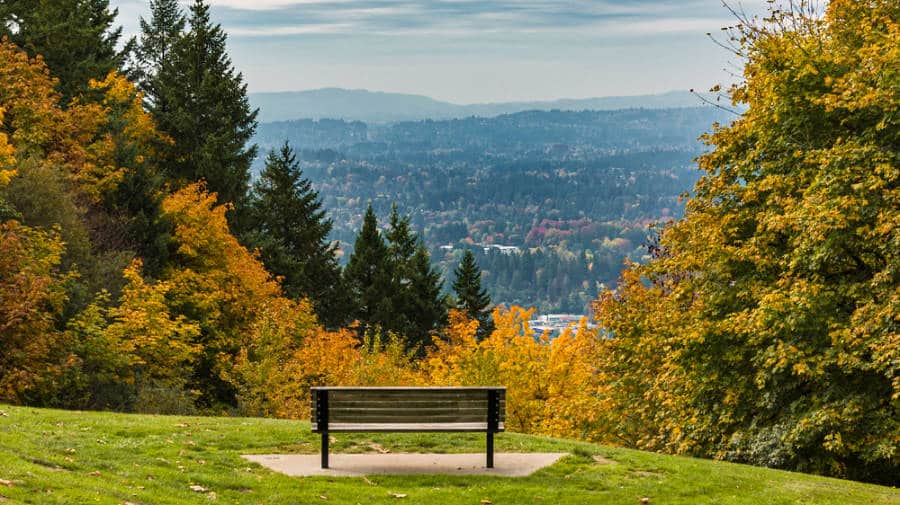 A park bench facing the fall foliage and scenic overlooking view in Portland