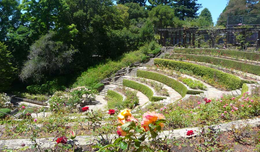 A layered step at the Berkeley Rose Garden in California