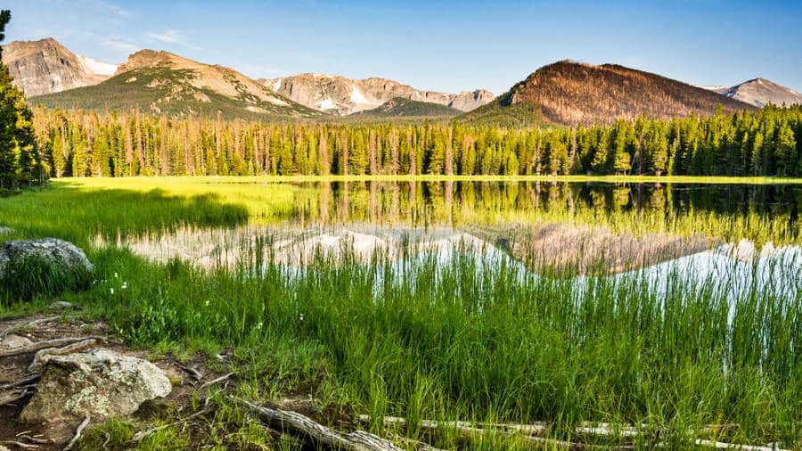 View of the lush greenery in Bierstadt Lake at sunrise