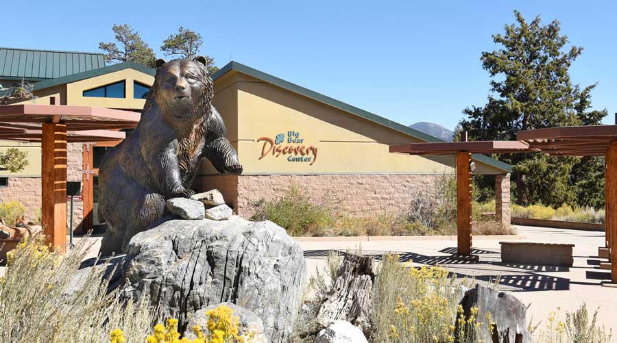 A bear statue outside the Big Bear Discovery Center