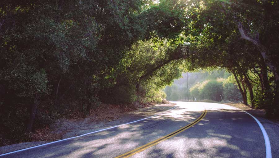 Nature view from a bike trail in Temecula