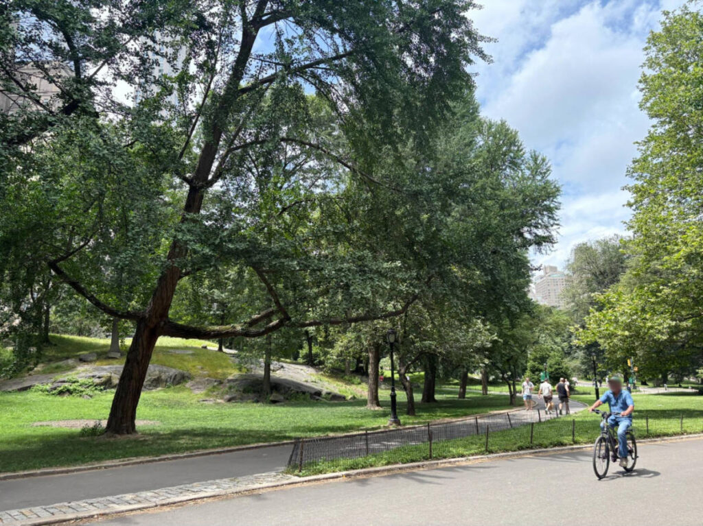 A man on his bike in Central Park