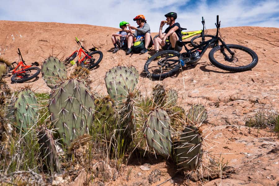 Bikers taking a break on the tracks near the cacti