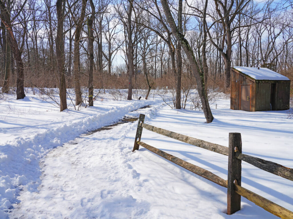 View at the Billie Johnson Mountain Lakes Nature Preserve during winter season